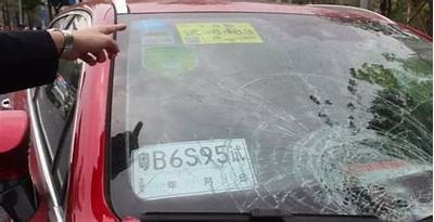 高清自慰区成人免费观看
