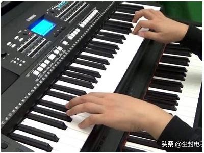 成人电子琴基础教程免费学习