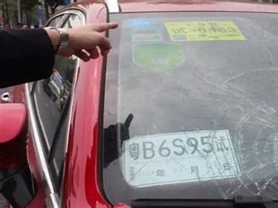 成人免费视频在线观看